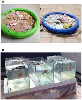 Microplastics Generation: Onset of Fragmentation of Polyethylene Films in Marine Environment Mesocosms